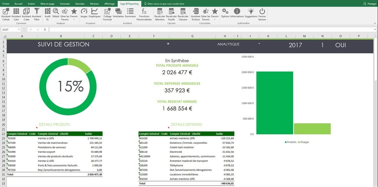 our bi solution sage bi